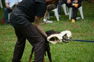 Corona European K9 training base Corona European K9 training base