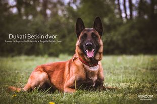 Dukati Betkin dvor Dukati Betkin dvor