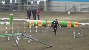 TOUCHDOWN DOGS E-ARJA TOUCHDOWN DOGS E-ARJA
