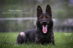 Fiona Mapet Fiona Mapet