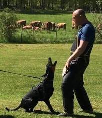 Crone European K9 training base Crone European K9 training base