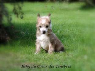 Ilthy Du Coeur Des Tenebres Ilthy Du Coeur Des Tenebres