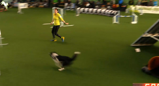 Joyful Dog Life Angel of Joy Joyful Dog Life Angel of Joy