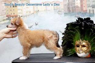 Touch Beauty Genevieve Lady's Dez Touch Beauty Genevieve Lady's Dez