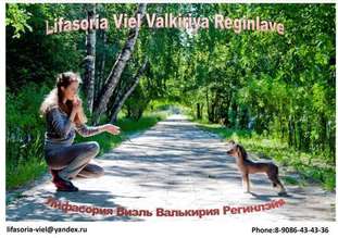 Lifasoria Viel Valkiriya Reginlave Lifasoria Viel Valkiriya Reginlave