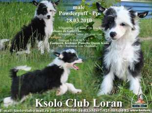 Ksolo Club Loran Ksolo Club Loran