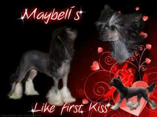 Maybell's Like First Kiss Maybell's Like First Kiss