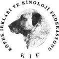 K.I.F. IPO