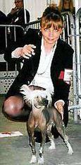 Shogun Des Fils Du Rugby Shogun Des Fils Du Rugby