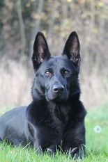 Oxana von der Teufelskehle Oxana von der Teufelskehle