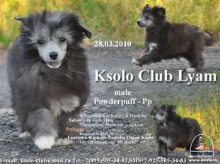 Ksolo Club Lyam Ksolo Club Lyam