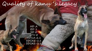 Quality of Kanu's Legacy Quality of Kanu's Legacy