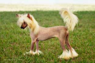 Victoria Gamaliel Victoria Gamaliel