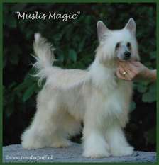 Müslis Magic Müslis Magic