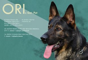 Ori z Get-Pet Ori z Get-Pet
