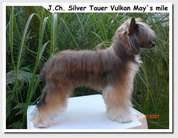 Silver Tauer Vulkan May's Mile