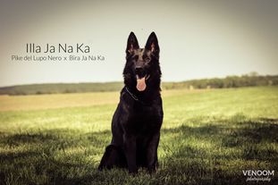 Illa Ja Na Ka Illa Ja Na Ka