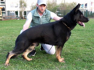 Clark von der Eichendorfschule Clark von der Eichendorfschule