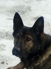 Luci Bzenecká Lipka Luci Bzenecká Lipka
