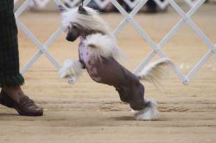 Dasha's Drop N Gimme Ten Dasha's Drop N Gimme Ten