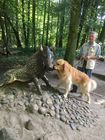 Elke und Joachim Loof