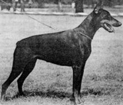Eicke von Castell Eicke von Castell