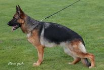 Ashley van de Lentfert Hoeve
