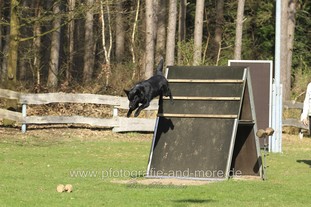Wolf vom Haus Ritterland Wolf vom Haus Ritterland