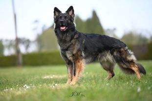 Ruby vom Himmeltal Ruby vom Himmeltal