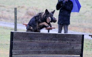 Cora vom dunklen Seeteufel Cora vom dunklen Seeteufel