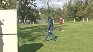 Lycan vom Schloss Rickens Lycan vom Schloss Rickens