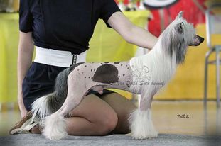 Olegro Katrin Itsed Diamond Olegro Katrin Itsed Diamond