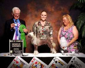 Risin Star's Simply The Best Risin Star's Simply The Best
