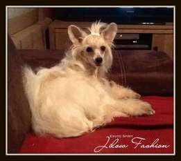 Exotic Spirit Jilow Fashion Exotic Spirit Jilow Fashion