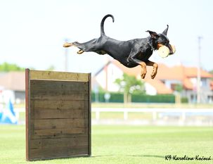 Karla vom Maindreieck Karla vom Maindreieck
