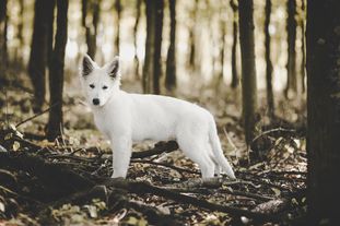 Be Cute my White Working Secret Be Cute my White Working Secret
