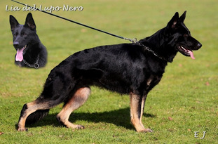 Lia del Lupo Nero Lia del Lupo Nero