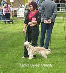 Lemiz Sweet Charity Of Ajatiaza Lemiz Sweet Charity Of Ajatiaza