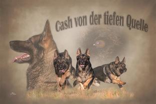Cash von der tiefen Quelle Cash von der tiefen Quelle