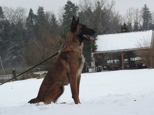 Ronja Laroja Ronja Laroja