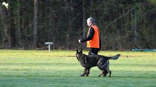 Fonse vom Murngraben Fonse vom Murngraben