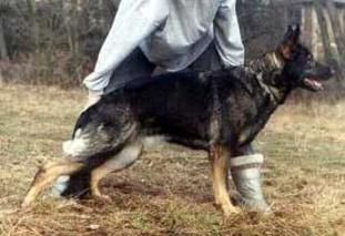 Fixi od Policie CS Fixi od Policie CS