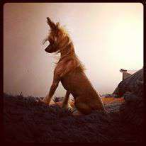 Lita Falazairroo Lita Falazairroo