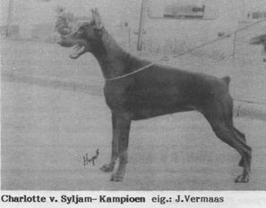 Charlotte van Syljam Charlotte van Syljam