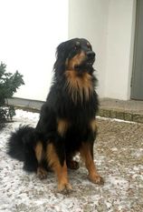Syriusz Casariae'hov Syriusz Casariae'hov