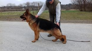 Tasko vom steilen Ufer Tasko vom steilen Ufer