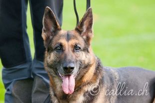 Ronja von der Gletscherhöhle Ronja von der Gletscherhöhle