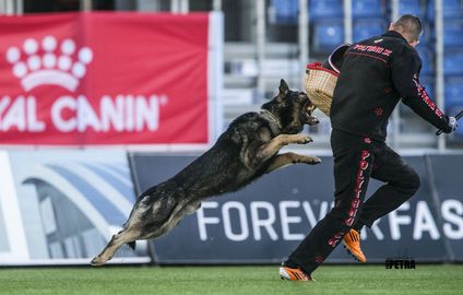 Pablo van Hamersslag Pablo van Hamersslag