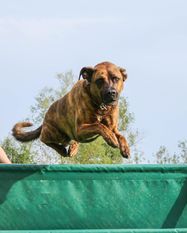 Milow (Hammer) Milow (Hammer)