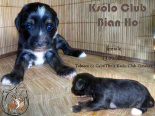 Ksolo Club Bian Ho Ksolo Club Bian Ho
